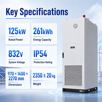 Armoire de stockage d'énergie tout-en-un à refroidissement liquide 125 kW 261 kWh LiFePO4 hors réseau C&I CE CEI 0-21 pour les installateurs solaires photovoltaïques européens
