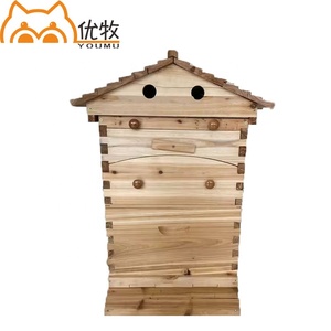 Ruches d'abeilles automatiques <span class=keywords><strong>en</strong></span> <span class=keywords><strong>bois</strong></span> Cadres automatiques Ruche d'abeilles automatique avec 7 cadres <span class=keywords><strong>Kit</strong></span> de démarrage - Product Image 2