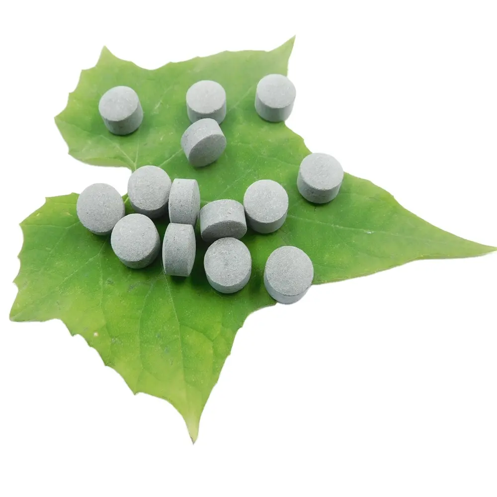BCAA dallı zincir amino asit Tablet