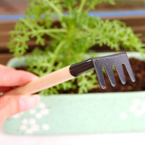 <b>Gardening</b> Three Piece <b>Set</b> Small Shovel Rake Spade Carbon Steel Lightweight Home <b>Gardening</b> <b>Tools</b> For Potted Plants - Product Image 2