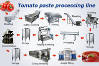 Grote schaal 1T/u volautomatische tomatenpuree productiemachines tomatensaus productielijn met CE-certificering