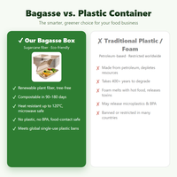 Boîte alimentaire à clapet en bagasse compostable à 3 compartiments, écologique, en canne à sucre, pour plats à emporter, avec couvercle articulé pour restaurant