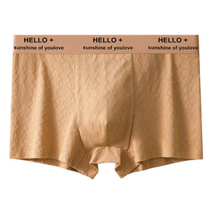 Nouveaux Caleçons pour Hommes, Boxers Tendance Jeunesse, Respirants et Confortables, Shorts pour Garçons - Product Image 4