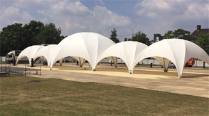 Structures extérieures Tente de célébration en forme de dôme Tente de luxe élégante en forme de dôme pour les fêtes d'objectifs d'anniversaire - Product Image 6