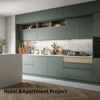 Meubles de cuisine modernes sans poignées, finition mate, pour projets de rénovation de cuisines résidentielles contemporaines, avec système d'éclairage LED