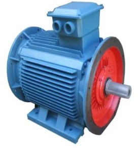 มอเตอร์แบบอะซิงโครนัส VFVS รุ่น YJ75C - Product Image 4
