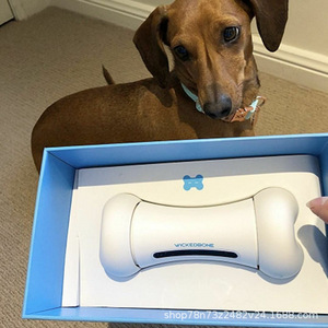 WickedBone Crazy <span class=keywords><strong>Bone</strong></span> Giocattolo Interattivo Intelligente con App per Cani e Gatti in Silicone Moderno - Product Image 4