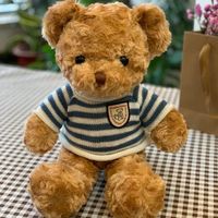 Peluche ours en peluche de petite taille de 30 cm avec pull en tricot, design personnalisé, logo unisexe, super doux
