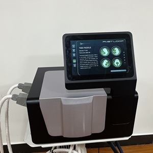 Mesin Terapi PEMF untuk Klinik Fisioterapi Pereda Nyeri Rehabilitasi Otot Peralatan Chiropraktik Matras PEMF Paddle - Product Image 3