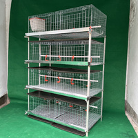 Cage à poulets de chair multi-niveaux de type H, capacité 60/80 poulets, cage de ferme galvanisée pour poulets de chair à vendre