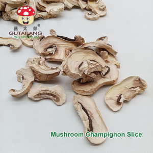 Nhà Máy Gutailang Bán Trực Tiếp Hình Nấm Khô Lát <span class=keywords><strong>Champignon</strong></span> Khô - Product Image 3