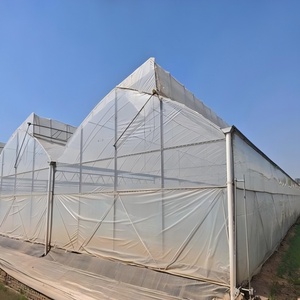 Invernadero Tipo Túnel Pequeño de un Solo Tramo, Diseño Plegable, Película de PE Transparente Estable, Fácil Montaje, Cultivo de <span class=keywords><strong>Remolacha</strong></span> por Temporada - Product Image 4