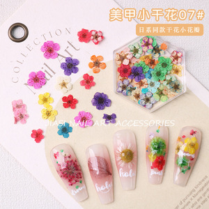 Pegatinas de Flores Secas de Colores Mezclados, Adornos para Manicura, Pétalos Coloridos, Decoraciones 3D para Uñas - Product Image 5