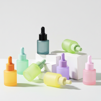 Botol Tetes Kaca Kosong Grosir dengan Tutup Ulir dan Permukaan Frosting, Cetak Warna Kustom untuk Perawatan Kulit