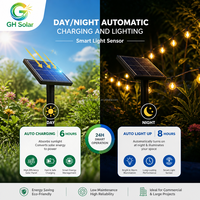 Großhandel Hochwertige 200 LED 22M Ni-MH Batterie Warmweiße RGB Weihnachtsbaum-Hängedekoration Außen-Solar-Lichterkette