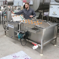 Bubble Cleaning Groente En Fruit Wasmachine Tomaat Fruit Wasmachine Machine