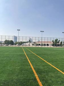 Cage de football panna terrain de football standard gazon de football artificiel fabricant de buts de football professionnel - Product Image 4