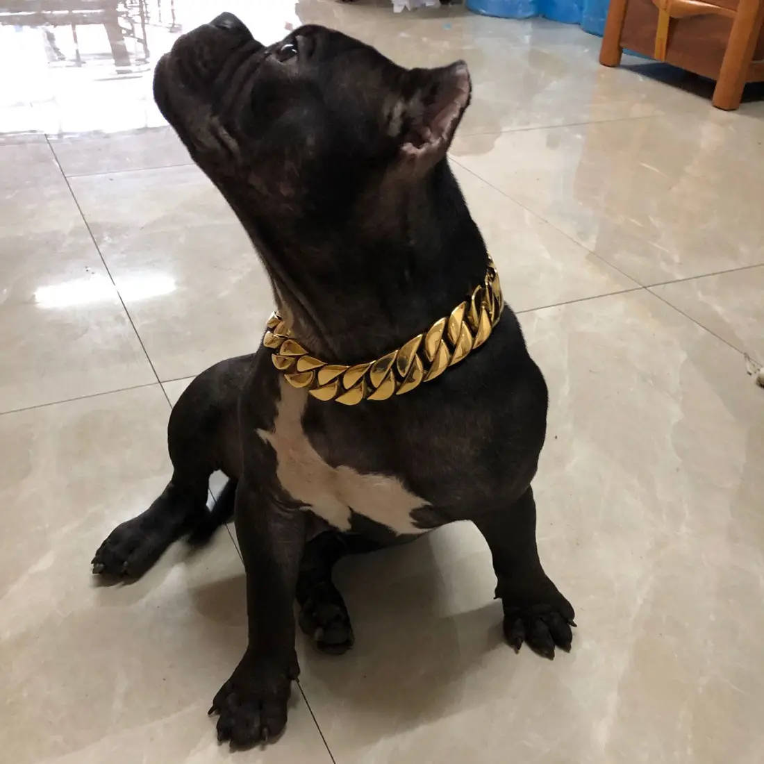 Rantai Kalung Anjing Kuba, Rantai Kerah Leher Anjing Link Kuba Besi Anti Karat 32Mm Emas Besar Sedang