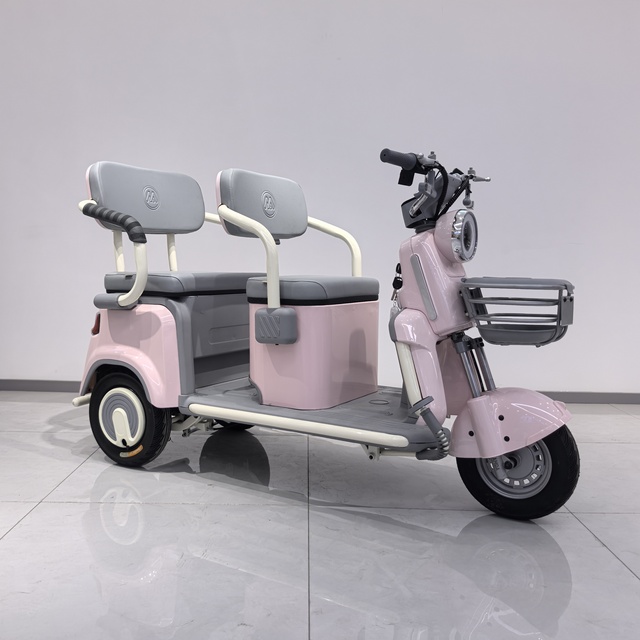 China-Made 3-Wheel Electric Tricycle for Adults Elderly Passengers on Sale 3 Wheels Electric Scooter