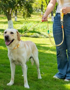 Eco-Friendly Luxury Simple Soft Durable Pet Leashes with <b>Scarf</b> and 100% Nylon for Outdoor Training and Night Safety - Product Image 3