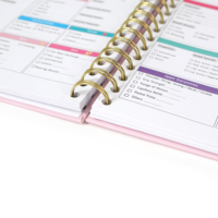 Livre d'infirmière imprimé personnalisé d'usine en gros Hradcover carnet de notes de planificateur de soins personnels pour le Journal d'étude des soins infirmiers