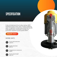 Pompe à fût chimique antidéflagrante OEM 220V haute pression certifiée IP55 internationale avec moteur 1.1 CV et câble de 3m