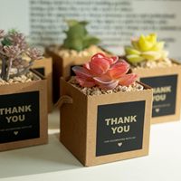 Boîtes cadeaux carrées personnalisées en papier kraft avec poignée en corde de coton pour plantes succulentes, cadeaux de mariage, emballages de remerciement, vente en gros