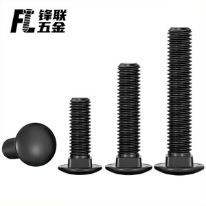 Boulons à tête cylindrique Fenglian en acier inoxydable 304 M3 M4 M5 M6 M8 M10 entièrement filetés, oxydation noire, pour l'industrie de la construction - Product Image 2