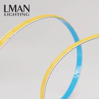 Bande lumineuse LED COB haute densité 5 mm 24 V 12 V IP65 étanche blanc/blanc chaud flexible 480 LED/m Garantie 5 ans