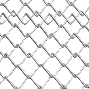 Recinzione a catena zincata con estremità spinato per recinzione zoo