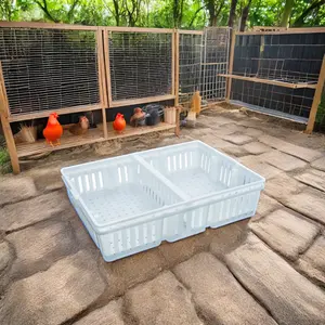 Kotak transportasi plastik anak ayam tua, kandang transportasi unggas bekas untuk pertanian penggunaan rumah ritel dengan harga kompetitif