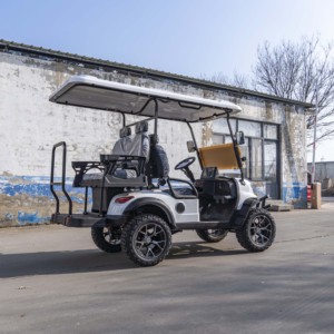 Carrello da Golf a 4 Posti Prodotto in Cina a Prezzo di Fabbrica con Sedili Comodi per il Conducente - Product Image 6