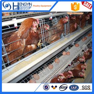 Nouvelle <span class=keywords><strong>promotion</strong></span> cage à poulets/poulaillers d'occasion équipement agricole cage à poulets de chair - Product Image 5