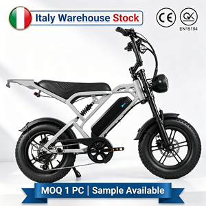 Local Italy Stock 16 Inch Fat Tire Electric City Bike for Teenagers Italian Style 36V Mini Ebike US EU AU Warehouse Bike - Product Image 1
