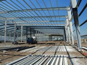 Abri pour bétail en métal léger, structure en acier, hangar avicole, installation rapide, capacité personnalisée pour l'élevage des animaux - Product Image 3