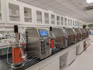 Chaqueta de biorreactor de una sola capa Bailun 15L Cultivo de muestra biológica proceso de fermentación recipiente de vidrio - Product Image 3