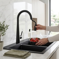 Robinet de cuisine professionnel en acier inoxydable SUS316 304 noir mat avec douchette extractible pour projet