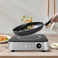 Nouveau design Mini cuisinière à induction 2200W Table de cuisson à induction portable avec commande tactile