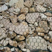 Gabion hexagonal revêtu de Galfan, gabion durable pour la restauration des rivières