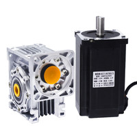 Set Motor Stepper Worm Gear Self-Locking 86mm 36V 8.5N/12N RV040/050 Reducer dengan Driver