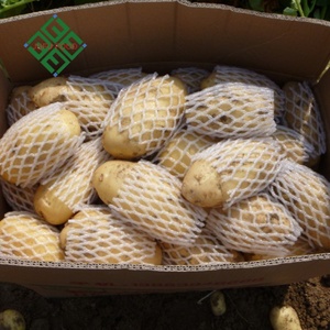 <span class=keywords><strong>Patatas</strong></span> Frescas Orgánicas Holandesas de Alta Calidad <span class=keywords><strong>al</strong></span> <span class=keywords><strong>por</strong></span> <span class=keywords><strong>Mayor</strong></span> de Fábrica en Shandong, China - Product Image 5