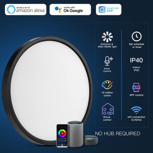 Luz de techo inteligente empotrada LED WiFi, regulable dormitorio sala de estar pasillo cocina guardería 12 pulgadas 24 vatios RGB delgada - Product Image 3