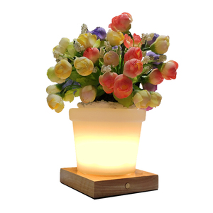 Pot de fleurs pour l'extérieur, lampe décorative <span class=keywords><strong>LED</strong></span> pour jardin, cour, salon, balcon - Product Image 6