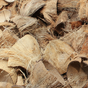 Carbón Activado en Trozos en Oferta 2024 - Product Image 1