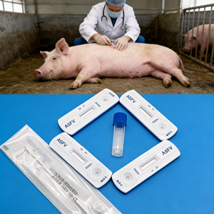अफ्रीकी स्वाइन बुखार वायरस एंटीजन रैपिड टेस्ट किट सूअरों के लिए पशु चिकित्सा परीक्षण पट्टी - Product Image 1