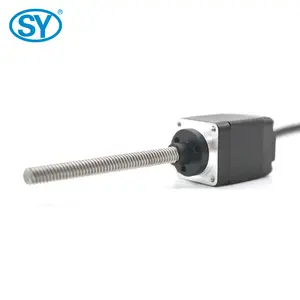 Supplier Electric 12V Dc Rpm Spindle Stepper Micro Motor With Speed Control