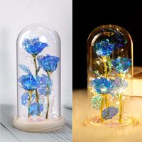 Dôme en acrylique Light Galaxy bleu, rose artificielle éternelle, fleurs préservées, cadeau pour la remise des diplômes, Thanksgiving, la Saint-Valentin, Noël