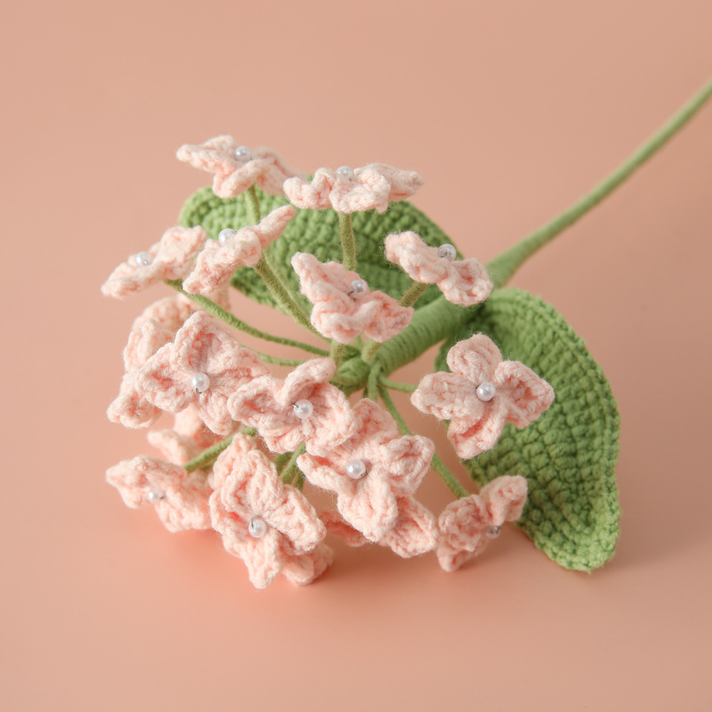 Rosa-2