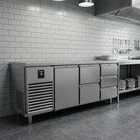 Solution tout-en-un : Réfrigérateur et congélateur multifonctionnels, robustes et durables, pour les entrepreneurs en cuisine