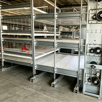 Cages pour poulets de chair de type H, cages automatiques pour poulets de chair, équipement d'élevage avicole automatique, cage d'alimentation automatique pour poulets